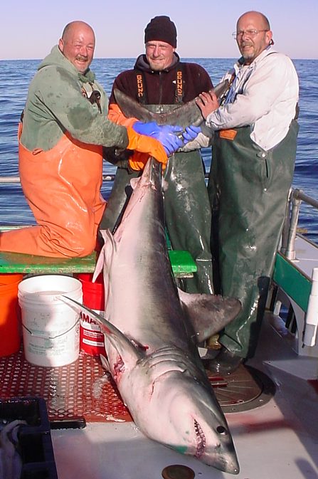 Fishing for Sharks on a Jon Boat 